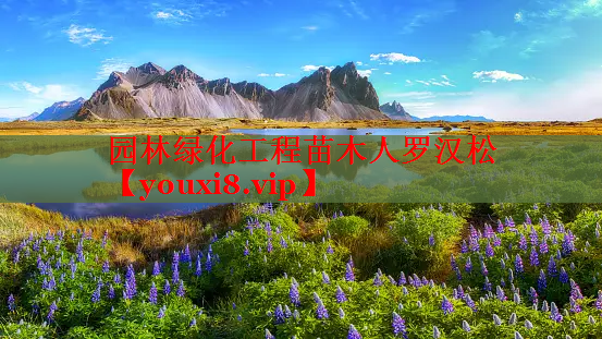园林绿化工程苗木人罗汉松