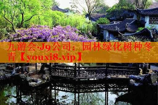 园林绿化树种冬青