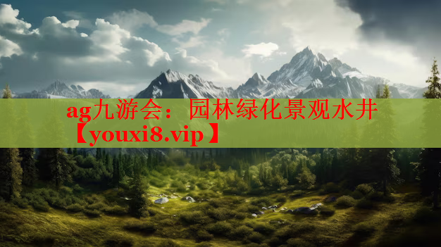 园林绿化景观水井