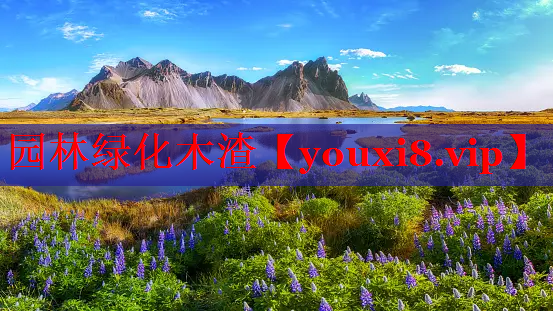 园林绿化木渣