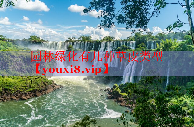 园林绿化有几种草皮类型