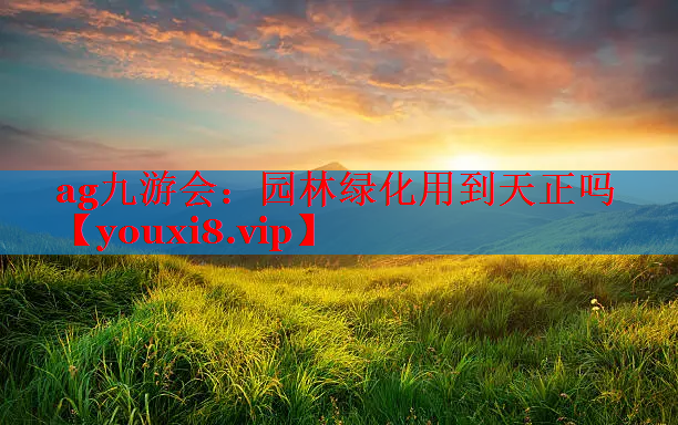 园林绿化用到天正吗
