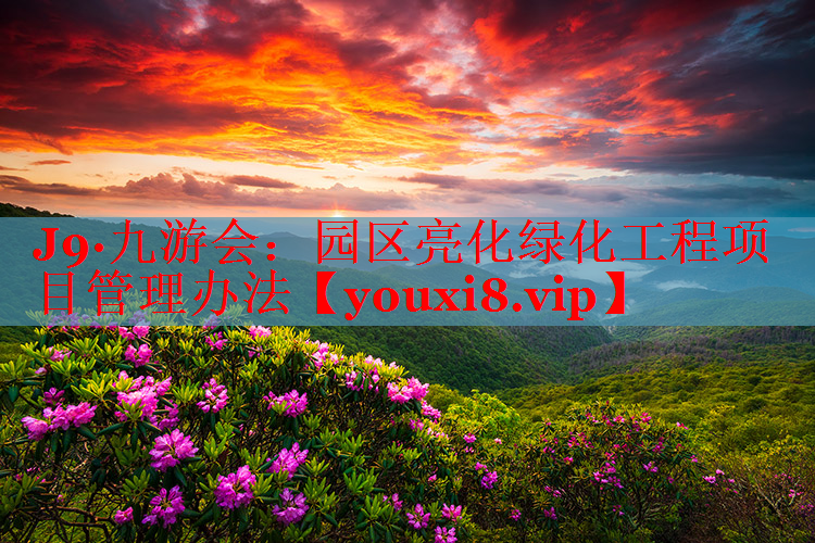 园区亮化绿化工程项目管理办法