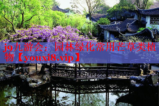 园林绿化常用芒草类植物