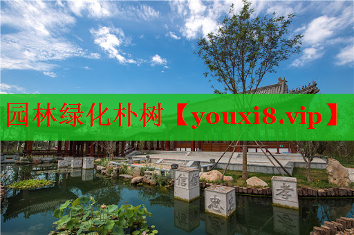 园林绿化朴树