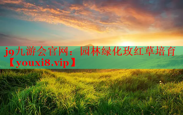 园林绿化玫红草培育