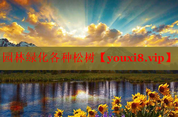园林绿化各种松树