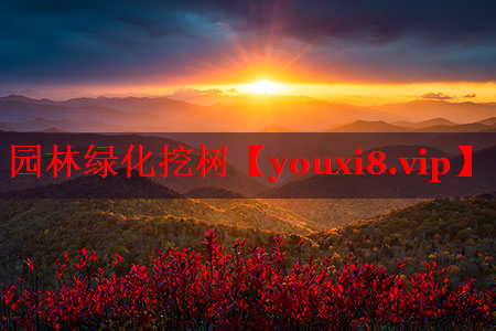 园林绿化挖树