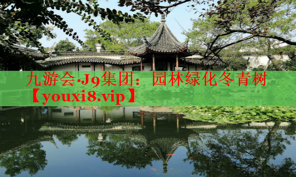 园林绿化冬青树