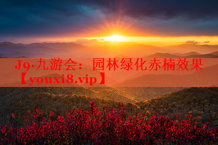 园林绿化赤楠效果