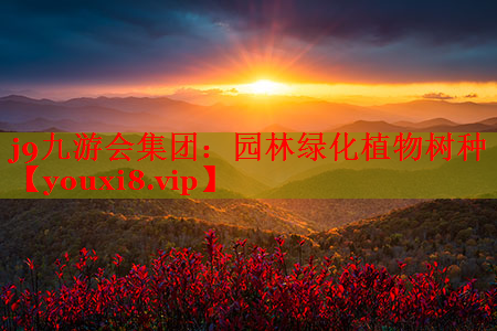 园林绿化植物树种