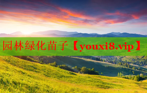 园林绿化苗子