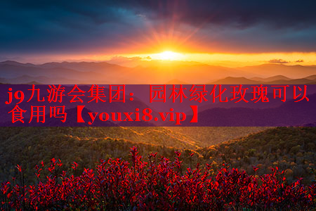 园林绿化玫瑰可以食用吗