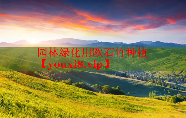 园林绿化用欧石竹种植