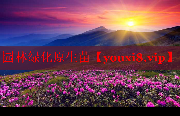 园林绿化原生苗
