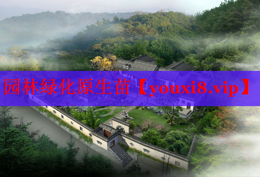 园林绿化原生苗