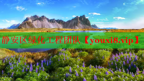 静安区绿化工程团队