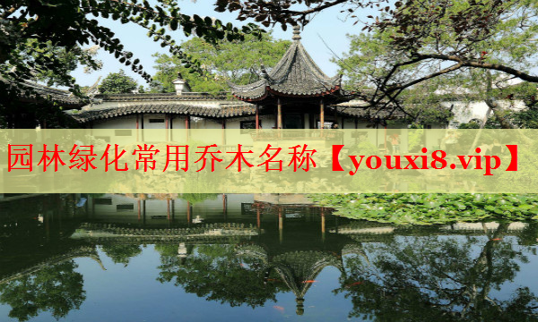园林绿化常用乔木名称