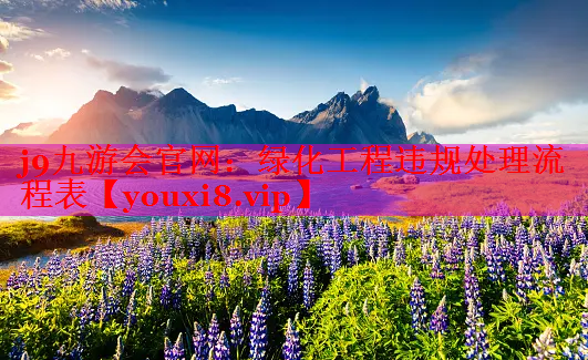 绿化工程违规处理流程表