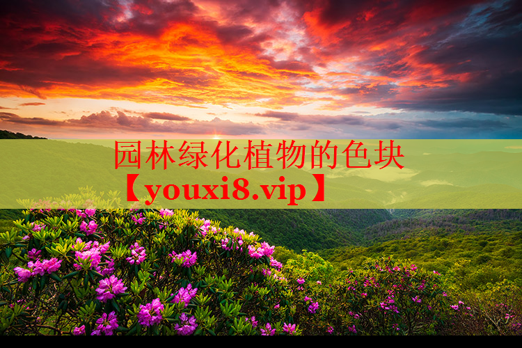 园林绿化植物的色块