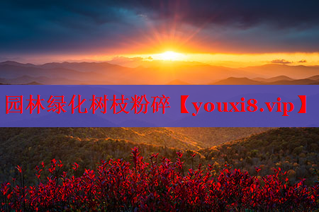园林绿化树枝粉碎