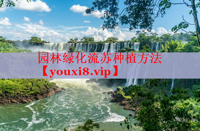 园林绿化流苏种植方法