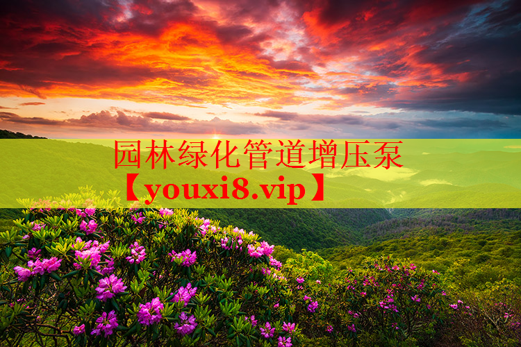 园林绿化管道增压泵
